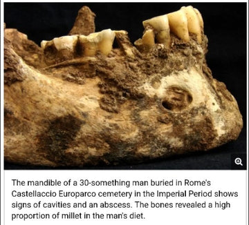 Ancient Romans Ate Millets.