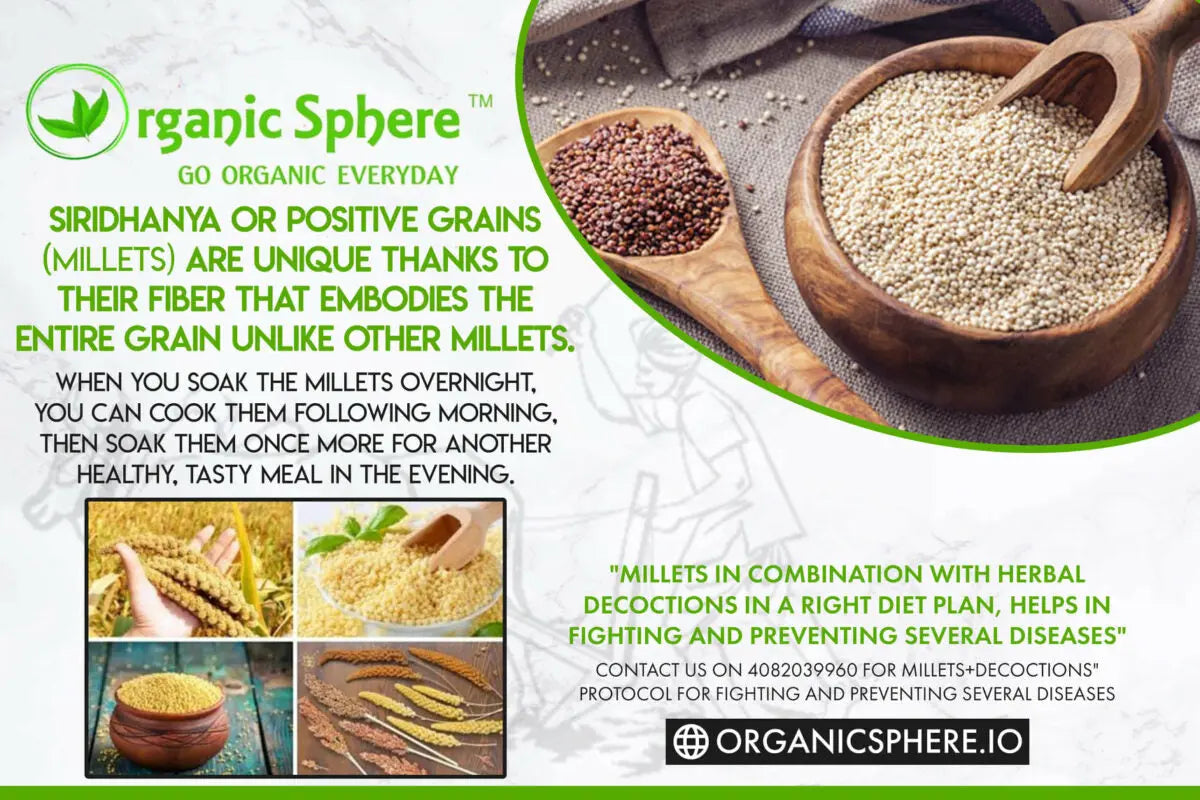 Auto-immune-diseases Organic Sphere