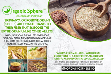 Lupus-S.L.E Organic Sphere