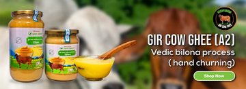 A2-Ghee-The-Ancient-Superfood-Making-a-Modern-Comeback Organic Sphere