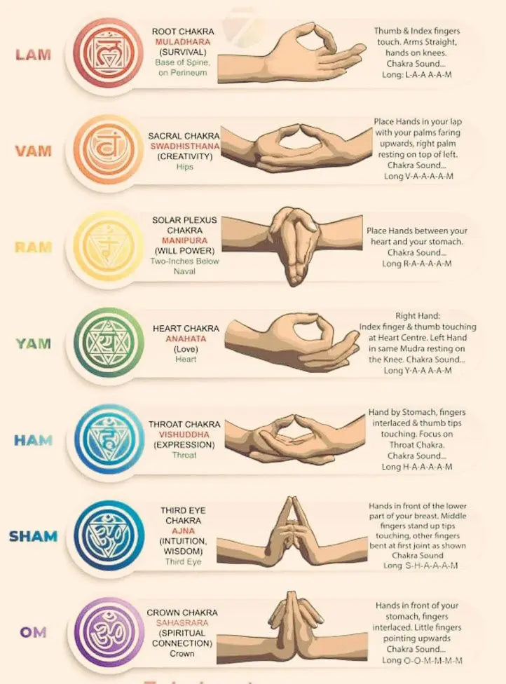 The-Seven-Chakras-Explained-Postures-Vibrations-and-Purpose Organic Sphere