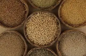 Organic-Sphere-s-Millets-Elevating-Gut-Health-and-Fighting-Chronic-Diseases-with-Unpolished-Supergrains Organic Sphere