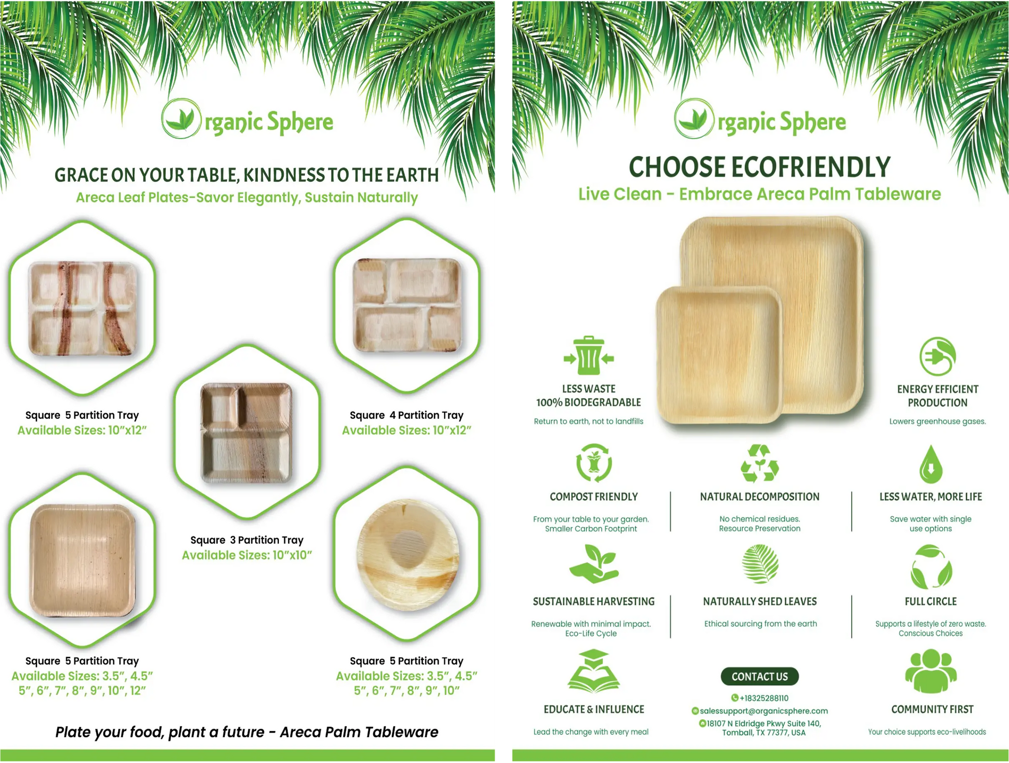 The-Areca-Palm-Collection-Catalyzing-Eco-Sustainability-in-Non-Profits Organic Sphere