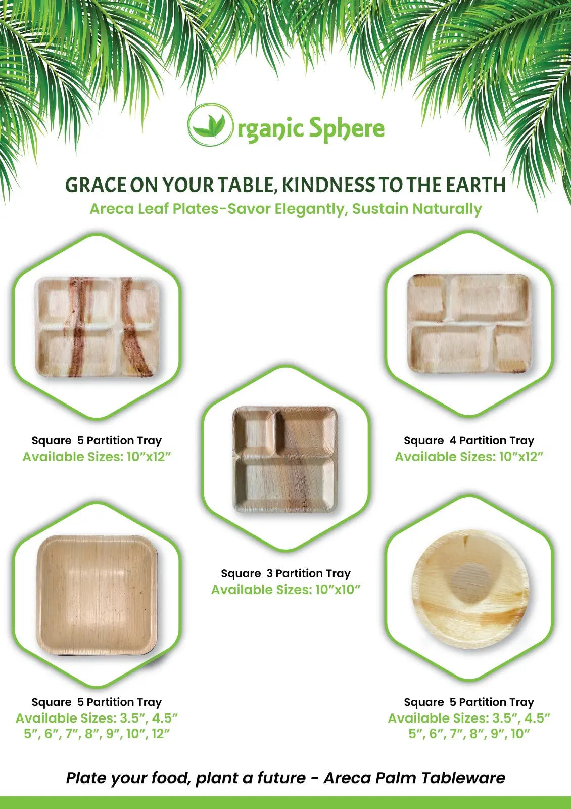 Areca-Plates-Advancing-Sustainability-and-Make-in-India Organic Sphere