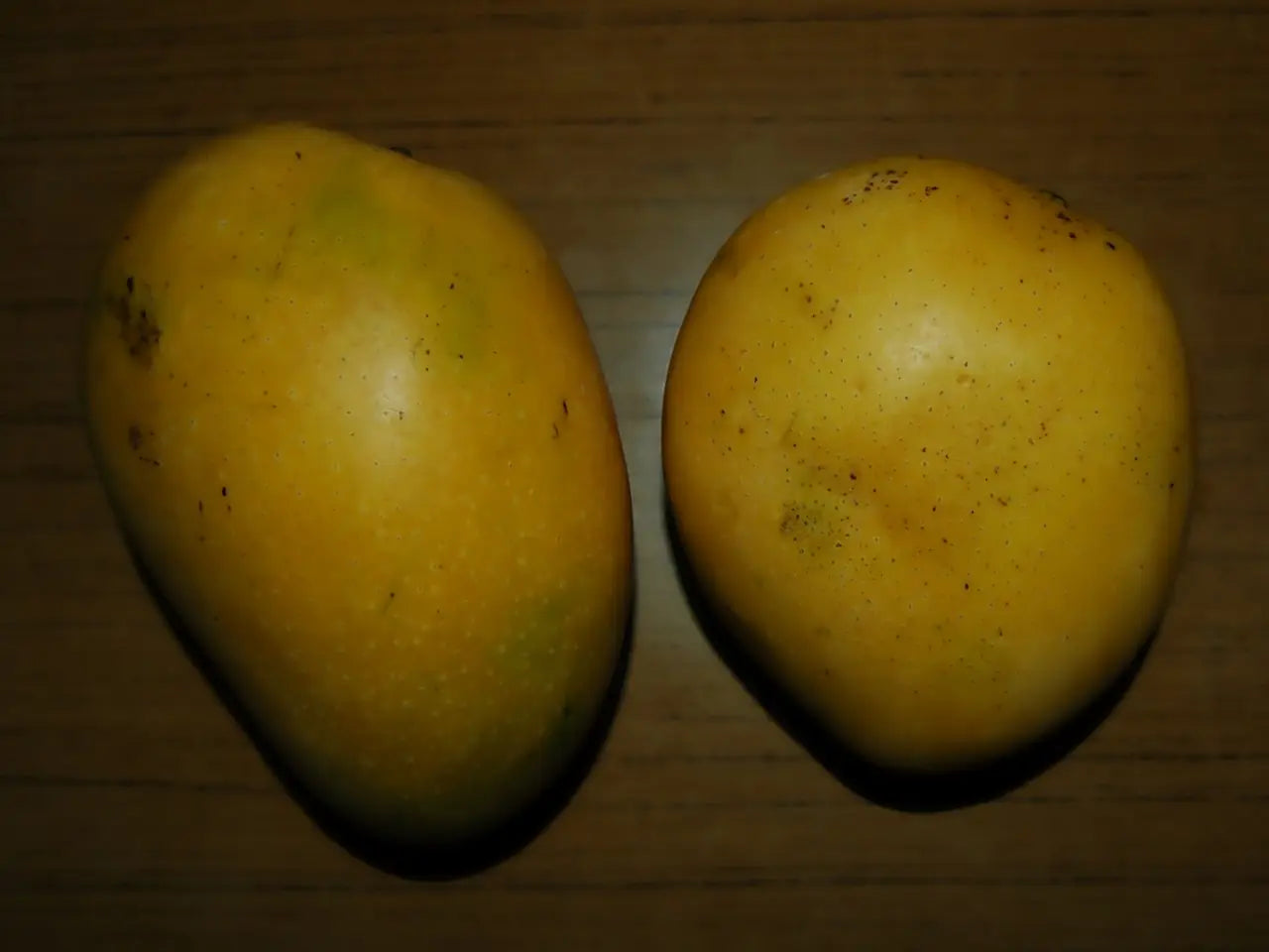 Importing-Mangos-Roller-coaster-ride Organic Sphere
