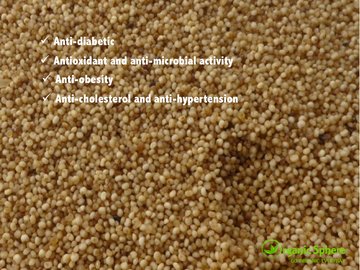 Buchi Method Processed Millets