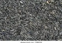 Discovering-Niger-Seeds-Nature-s-Tiny-Treasures Organic Sphere