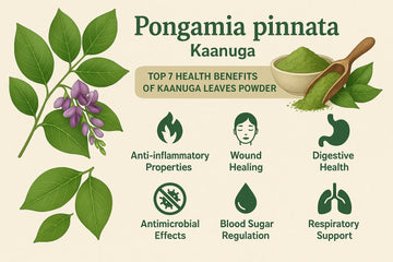 Pongamia-pinnata-medicinal-uses-Top-7-health-benefits-of-Kaanuga-leaves-powder Organic Sphere