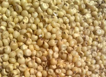 great-millet-2fsorghum-500x500.jpg