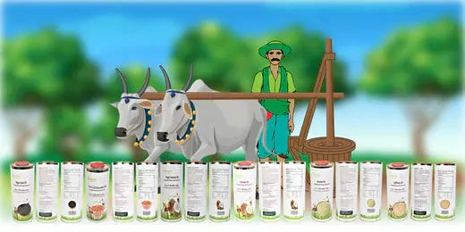 Unlock-the-Secret-to-Healthier-Cooking-Discover-the-Magic-of-Traditional-Bull-Driven-Oils Organic Sphere