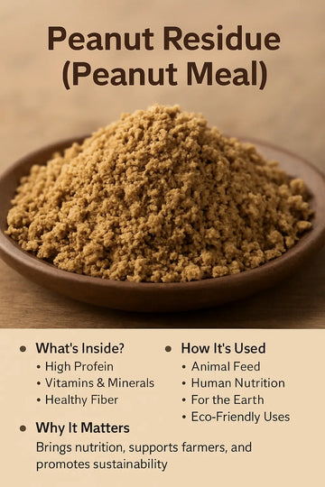 Peanut Seed Residue / Meal (Bull-Driven Oil Extraction)