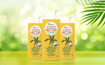 COCO (Coconut) NECTAR - 100% Natural & Pure | By Nature Gluten-Free, Non-GMO, and Vegan | Feel Energized | Kosher | Natural Wellness Beverage (12 Pack)