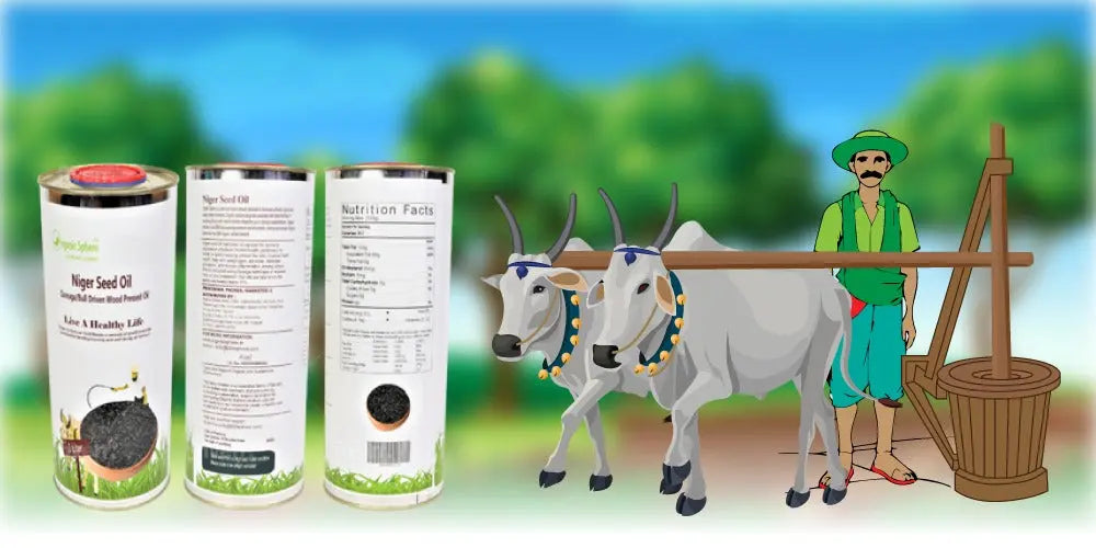 Organic Sphere's Ganuga Bull-Driven Niger Seed Oil: Authentic Organic Black Seed Extract - Pure & Nutrient-Rich to Enhance Immunity Organic Sphere LLC