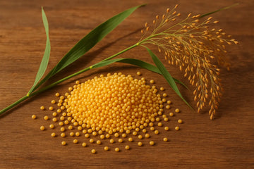 Fresh 100% Natural  Proso Millet