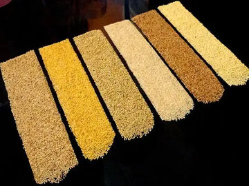 Kodo Millet Parboiled