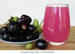 Jamun Juice -100% Natrual Organic Sphere LLC