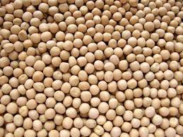 Fresh 100% Natural  Vatana Yellow or Yellow Peas