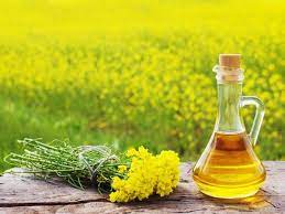 Organic Sphere's Bull-Driven Mustard Oil: 100% Pure, High-Quality Organic Seed Extract – A Time-Honored Tradition Organic Sphere LLC