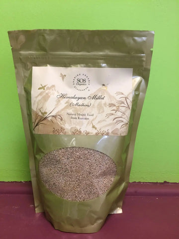 Himalayan Madira Millet