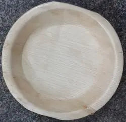 Arcanut Big Plates - 12 Inch (20) Organic Sphere LLC