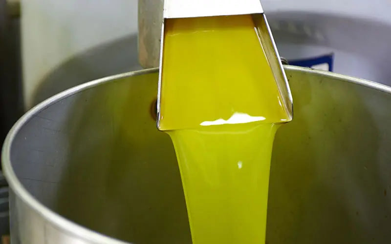 Experience Culinary Excellence with Our 32 Fl Oz Cold Pressed Olive Oil Organic Sphere LLC