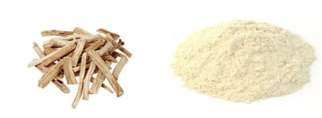 Fresh 100% Natural Shatavari Powder